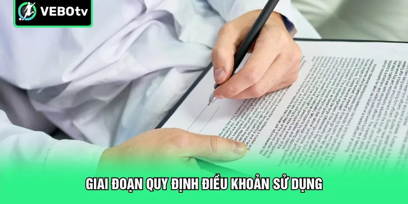 Giai đoạn quy định điều khoản sử dụng