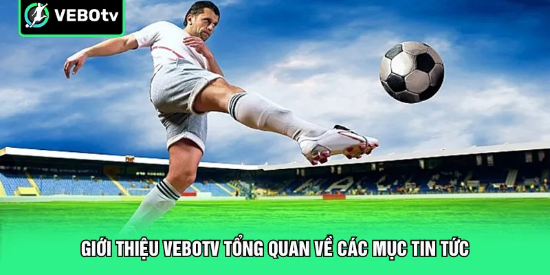 Giới thiệu VeboTV tổng quan về các mục tin tức