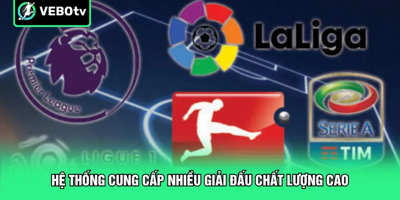 Hệ thống cung cấp nhiều giải đấu chất lượng cao
