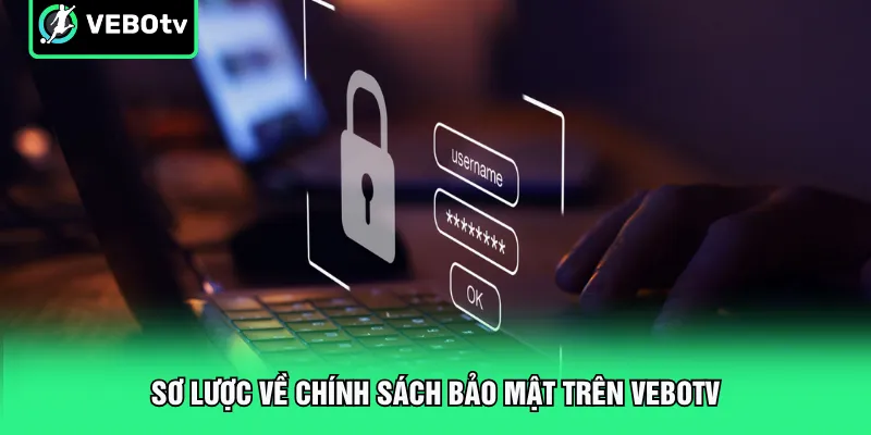 Sơ lược về chính sách bảo mật trên VeboTV