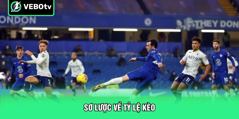 Sơ lược về tỷ lệ kèo